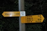 Kienersrüticher